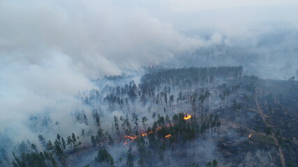 Fototapeta na wymiar Forest fire. The forest is on fire. Irkutsk region. Extraordinary incident. Drone shooting