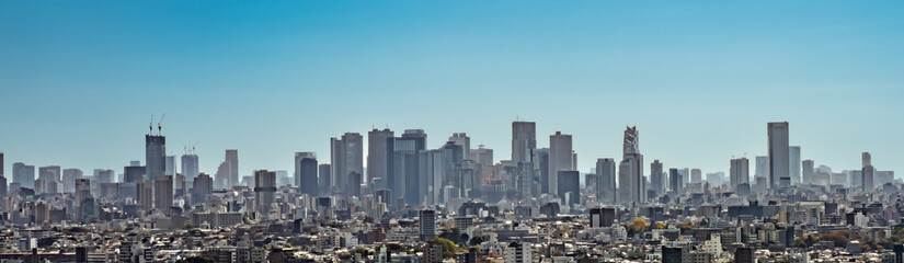 Fototapeta na wymiar 新宿の高層ビルのパノラマ