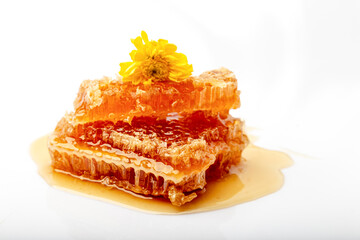 honeycomb, yellow gerbera flower isolated on white background