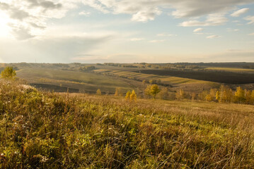 sunset over the field