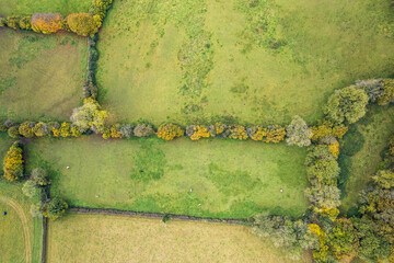 Top Down view of Autumn Colors over Somerset fields from a drone, England, Europe