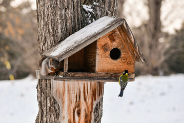 bird house on a tree
