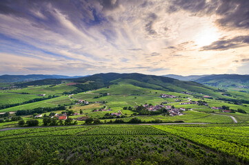 Vineyards landscape seeing from Mont Brouilly, Beaujolais