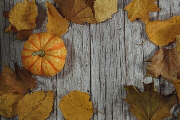 Festive autumn decor from pumpkins, pine and leaves on a wooden background. Concept of Thanksgiving day or Halloween. Flat lay autumn composition with copy space.