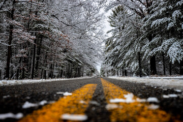 Road in winter near forest with snow covered trees