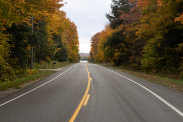 road in autumn