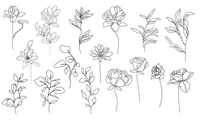 Botanical Line Art Drawing Set. Hand Drawn Continuous Line Drawing of Leaves, Flower, Bouquet, Leaf, Branch.  Floral Black Sketches Set on White Background. Vector Illustration.

