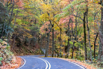 Fototapeta premium The Pisgah Highway, Pisgah National Forest, North Carolina