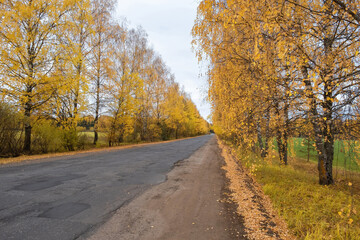 A deserted asphalt road among yellow trees on a cloudy autumn day.