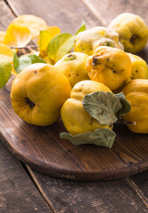 Quince fruits on a wooden background. Harvest of autumn fruits. Quince fruits