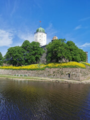 Against the background of a blue sky with feathery clouds, Vyborg Castle and the white Tower of St. Olaf in the city of Vyborg.