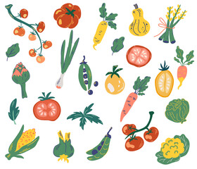 Vegetable Set. Vegetarian healthy food. Vegan, farm, organic, natural. Hand drawn fresh delicious vegetables isolated on white background. Vector illustration.