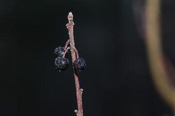 Las jesienią © Andrzej