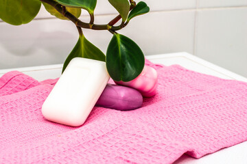 pieces of soap on a towel in the bathroom next to a houseplant
