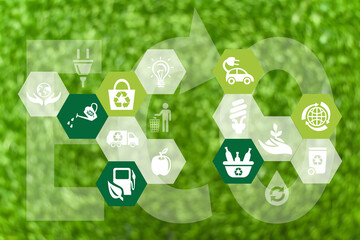 Green grass on the background of environmental signs, by the type of light bulb, ecological...