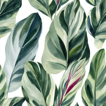 Seamless pattern of green tropical leaves, watercolor illustration, jungle design © Hanna