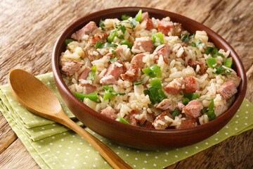 Arroz de Carreteiro Brazilian rice with dried meat close up in the bowl on the table. Horizontal