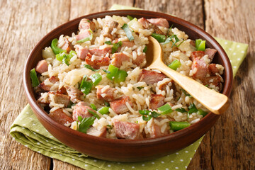 Arroz carreteiro is a hearty rice and meat dish close up in the bowl on the table. Horizontal