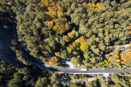 Aerial drone forest landscape, yellow trees and curved road in autumn