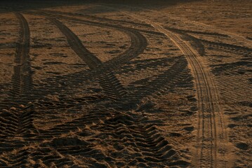 life on mars © iverdog
