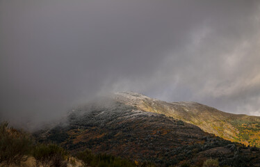 Landscape of beech forest on mountain with fog in autumn, with snow on top of mountain, in Tejera Negra, Cantalojas, Guadalajara, Spain