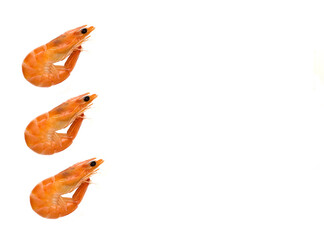 Shrimp isolated on white background copy space, place for text.