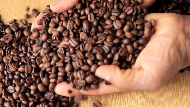roasted brown coffee beans in a heap with hand stock video