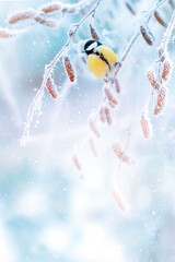 Little tits in a fairy-tale snowy forest. Christmas image. Winter wonderland. Copy space.