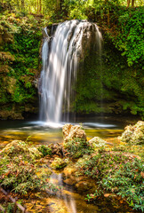 Fototapeta na wymiar Corbett Waterfall at Corbett National Park, Uttrakhand, India