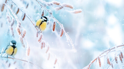 Little tits in a fairy-tale snowy forest. Christmas new year image. Winter wonderland.