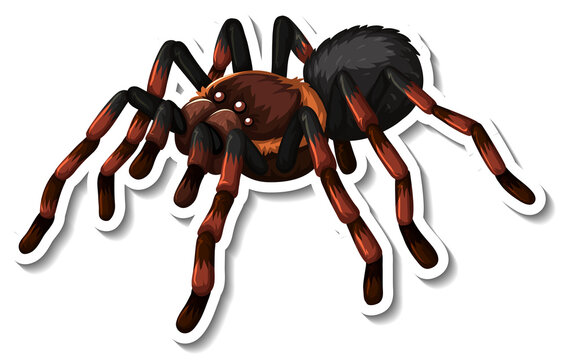 Wild spider cartoon sticker on white background