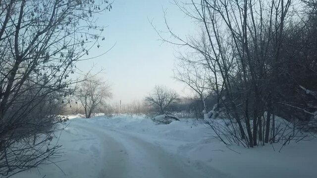 Steadicam shot of ride between trees in hill shadow when siberian winter. A lot of snowdrifts near the road