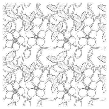 Seamless contour pattern of flowers and leaves of strawberry for coloring. Decorative floral elements.