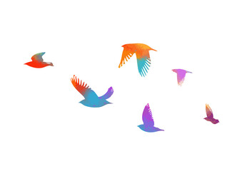 Obraz premium Colorful flying birds in the sky. Vector illustration