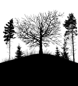 Monochrome silhouettes of trees. Nature. Vector illustration