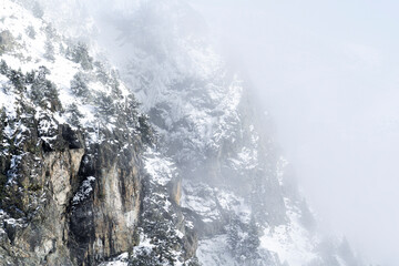 Snowy cliff and mist