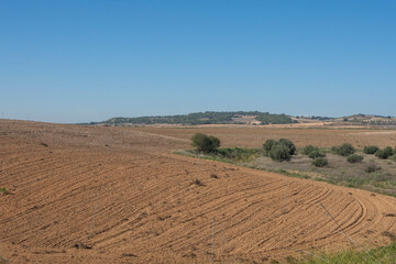 Campos de labranza en la vega