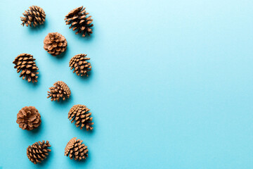 Christmas pine cones on colored paper border composition. Christmas, New Year, winter concept. Flat lay, top view, copy space