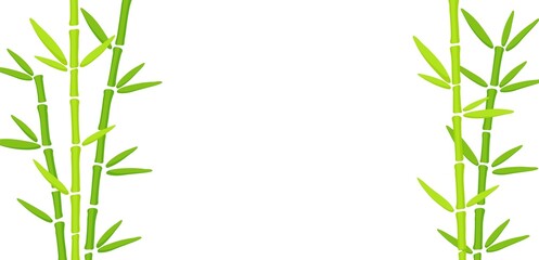 Fototapeta na wymiar Green Bamboo Grass Hand Drawn Background. Oriental chinese plant vector illustration