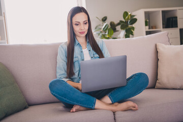 Portrait of attractive skilled focused long-haired woman sitting on divan using laptop working at home indoors