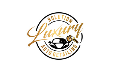 Illustration vector graphic of auto detailing servis logo design template-05