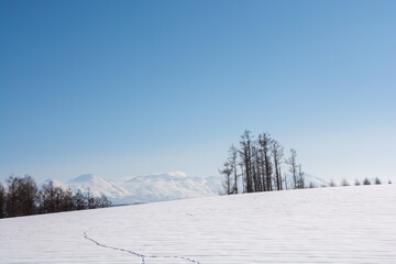 Fototapeta na wymiar 雪の丘と火山の山頂　十勝岳 