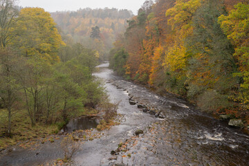 Fototapeta na wymiar River Allen at Whitfield , Northumberland UK in autumn
