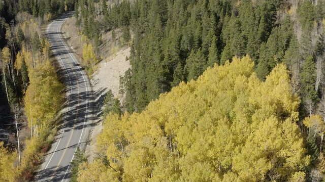 drone footage of a mountain road in the colorado Rocky Mountains cottonwood pass aspen colors in autumn