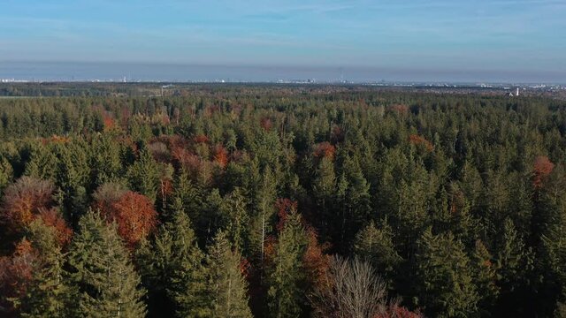 Aerial view at the skyline of Munich behind a conifer forest in the autumnal season