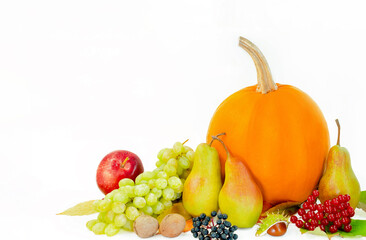 Fototapeta na wymiar autumn harvest pumpkin, fruits, berries and nuts with yellow leaves