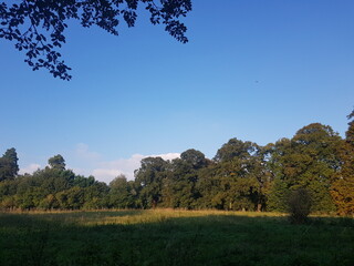 Obraz premium Meadow in east town park in Haverhill, Suffolk. Photographed in October