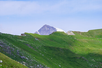 Fototapeta premium summer green Alps mountains in Austria with snowy peaks