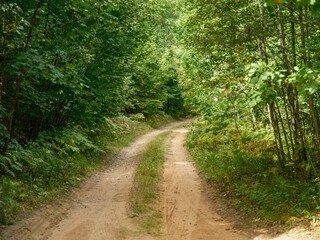 gravel road in countryside summer nature
