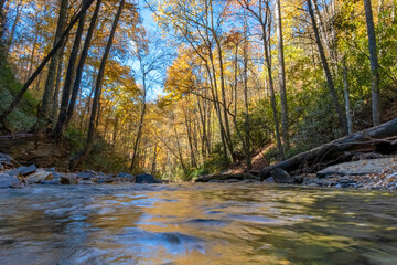 Naklejka na ściany i meble Looking Glass Creek, below Looking Glass Falls, Pisgah National Forest, North Carolina